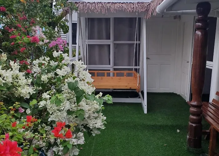 Apartmento com 1 dormitório