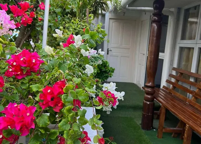 Apartmento com 1 dormitório